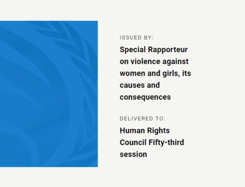 Kadınlara ve Kız Çocuklarına yönelik Şiddet, Nedenleri ve Sonuçları Özel Raportörü’nün Raporu