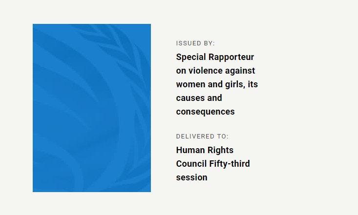 Kadınlara ve Kız Çocuklarına yönelik Şiddet, Nedenleri ve Sonuçları Özel Raportörü’nün Raporu