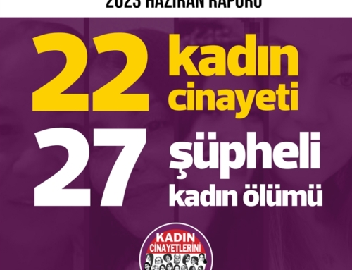 Kadın Cinayetlerini Durduracağız Platformu Haziran 2023 Raporu