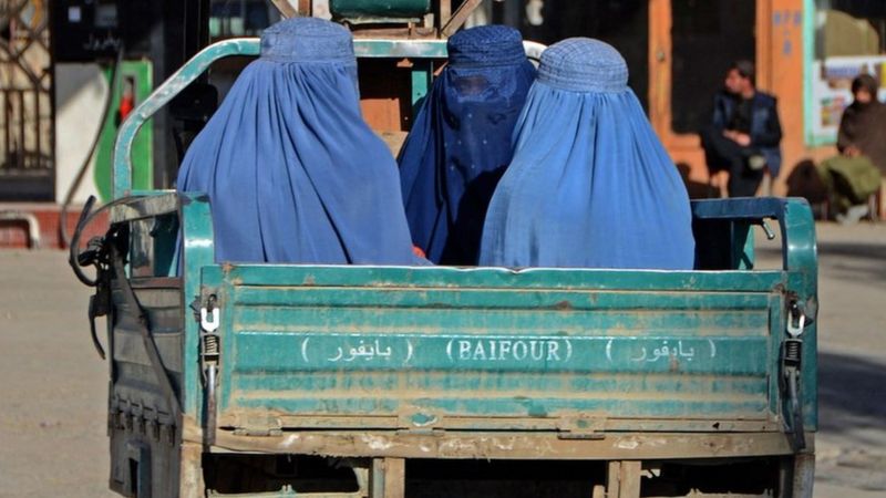 Afganistan’da Taliban’ın Kadınlar ve Kız Çocuklarına Uyguladığı Baskı, Cinsiyet Temelli Zulüm ve Bir Apartheid Rejimidir.