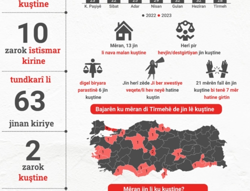 ERKEK ŞİDDETİ ÇETELESİ TEMMUZ 2023 Erkekler Temmuz’da 22 kadını öldürdü